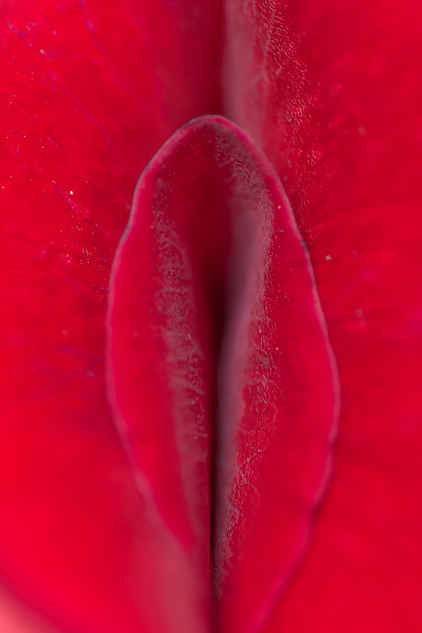 Pocket Pussy sex toy – A Beginner Guide to Choosing a Male Sex Toy